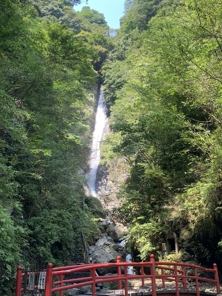 f:id:kabutara:20220410145930j:plain