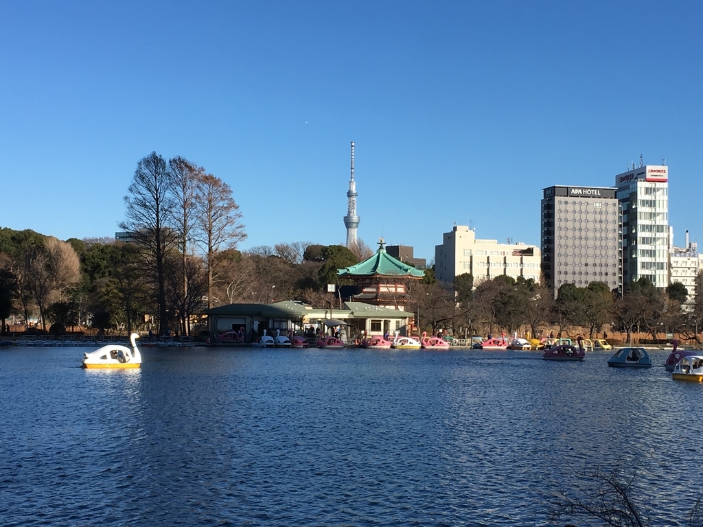 f:id:kabuto0120:20190127192206j:plain f:id:kabuto0120:20190127192206j:plain