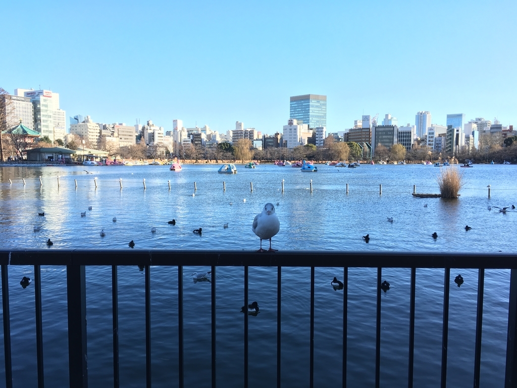 f:id:kabuto0120:20190127192222j:plain f:id:kabuto0120:20190127192222j:plain