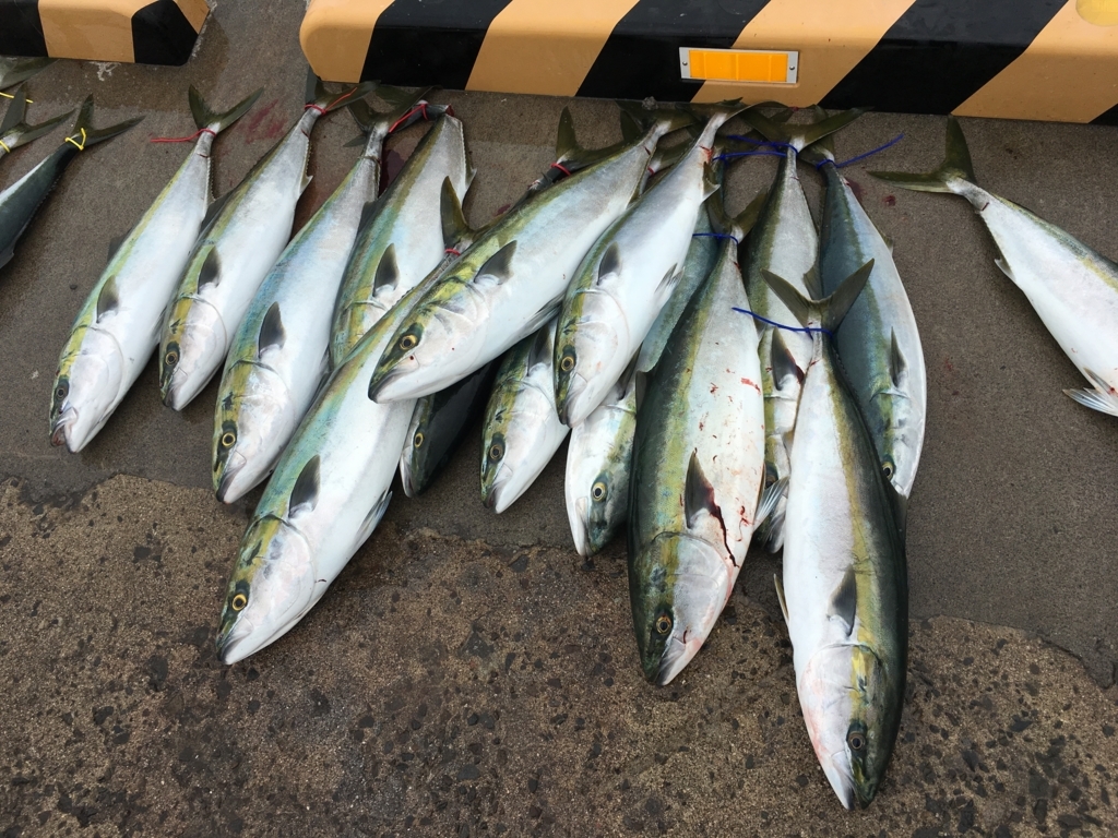 f:id:kabutomushi-itomo:20180611044629j:plain f:id:kabutomushi-itomo:20180611044629j:plain