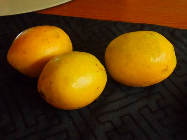 f:id:kabutoyama-tigers:20120214162831j:image f:id:kabutoyama-tigers:20120214162831j:image