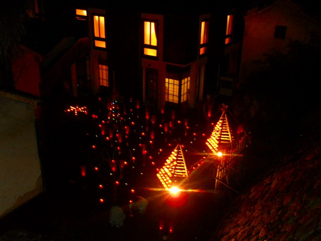 f:id:kabutoyama-tigers:20120214163612j:image