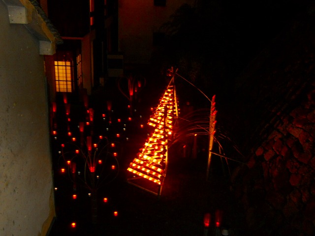 f:id:kabutoyama-tigers:20120214163614j:image