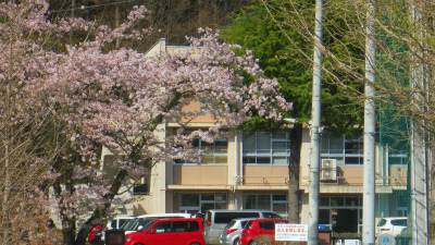 f:id:kabutoyama-tigers:20120429201135j:image f:id:kabutoyama-tigers:20120429201135j:image