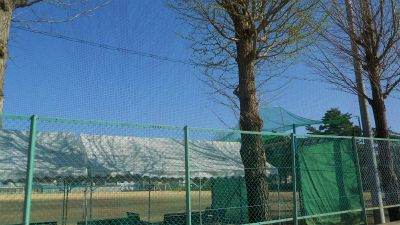 f:id:kabutoyama-tigers:20120501191920j:image