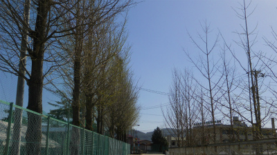 f:id:kabutoyama-tigers:20120501192403j:image