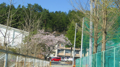 f:id:kabutoyama-tigers:20120501192604j:image