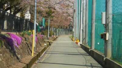 f:id:kabutoyama-tigers:20120501192902j:image