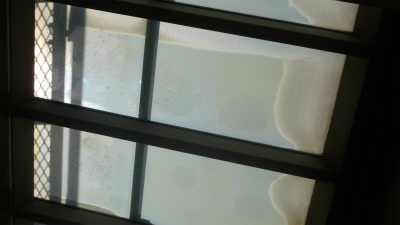 f:id:kabutoyama-tigers:20120501205703j:image