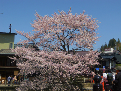 f:id:kabutoyama-tigers:20120502193858j:image