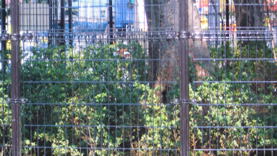 f:id:kabutoyama-tigers:20140122135426j:image f:id:kabutoyama-tigers:20140122135426j:image