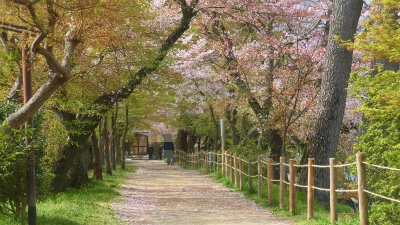 f:id:kabutoyama-tigers:20150410150709j:image f:id:kabutoyama-tigers:20150410150709j:image