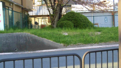 f:id:kabutoyama-tigers:20150410153622j:image f:id:kabutoyama-tigers:20150410153622j:image