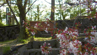 f:id:kabutoyama-tigers:20150410161220j:image f:id:kabutoyama-tigers:20150410161220j:image