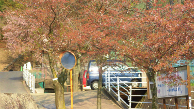 f:id:kabutoyama-tigers:20150413142441j:image f:id:kabutoyama-tigers:20150413142441j:image