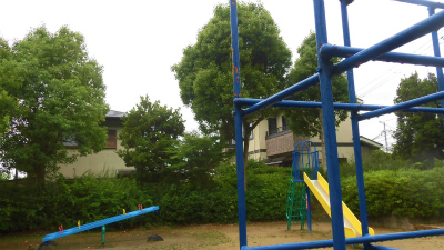 f:id:kabutoyama-tigers:20150613144914j:image