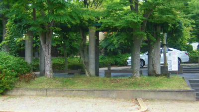 f:id:kabutoyama-tigers:20150613145246j:image