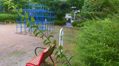 f:id:kabutoyama-tigers:20150613150823j:image