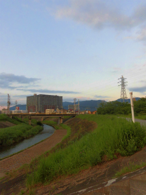 f:id:kabutoyama-tigers:20150711081230j:image