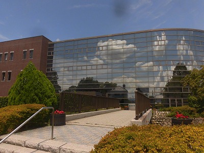 f:id:kabutoyama-tigers:20160724180604j:image