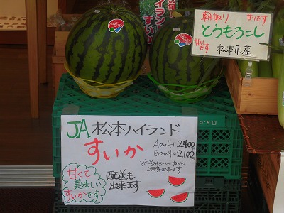 f:id:kabutoyama-tigers:20160724180607j:image