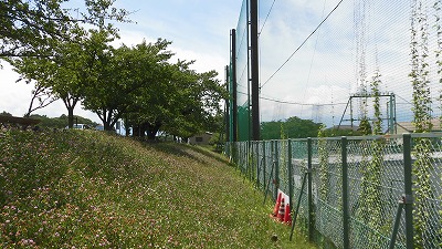 f:id:kabutoyama-tigers:20160724180615j:image