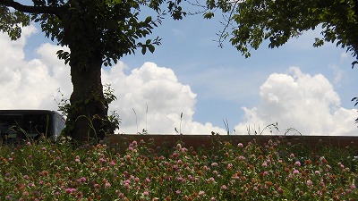 f:id:kabutoyama-tigers:20160724180616j:image