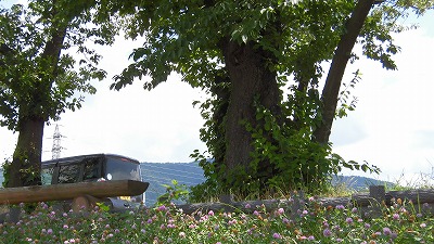 f:id:kabutoyama-tigers:20160724180620j:image