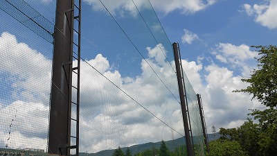 f:id:kabutoyama-tigers:20160724180622j:image