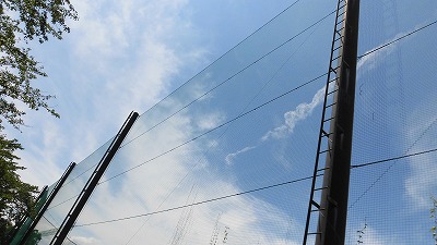 f:id:kabutoyama-tigers:20160724180623j:image