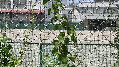 f:id:kabutoyama-tigers:20160724180624j:image