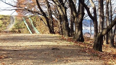 f:id:kabutoyama-tigers:20171206172418j:plain f:id:kabutoyama-tigers:20171206172418j:plain