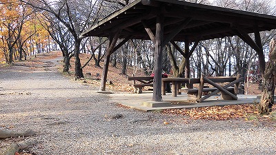 f:id:kabutoyama-tigers:20171206172533j:plain f:id:kabutoyama-tigers:20171206172533j:plain