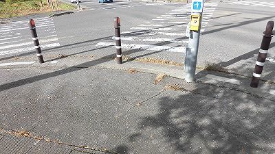 f:id:kabutoyama-tigers:20171209155856j:plain f:id:kabutoyama-tigers:20171209155856j:plain