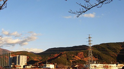 f:id:kabutoyama-tigers:20171209175915j:plain f:id:kabutoyama-tigers:20171209175915j:plain