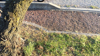 f:id:kabutoyama-tigers:20171209180252j:plain f:id:kabutoyama-tigers:20171209180252j:plain