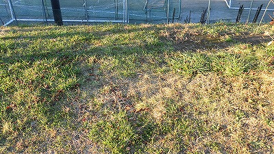 f:id:kabutoyama-tigers:20171209181231j:plain f:id:kabutoyama-tigers:20171209181231j:plain