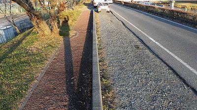 f:id:kabutoyama-tigers:20171209182424j:plain f:id:kabutoyama-tigers:20171209182424j:plain