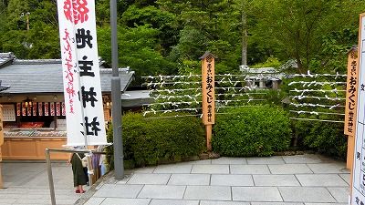 f:id:kabutoyama-tigers:20200624004218j:plain f:id:kabutoyama-tigers:20200624004218j:plain