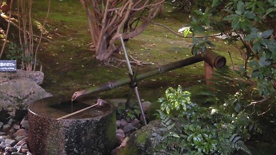 f:id:kabutoyama-tigers:20200624031135j:plain f:id:kabutoyama-tigers:20200624031135j:plain
