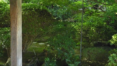 f:id:kabutoyama-tigers:20200624031730j:plain f:id:kabutoyama-tigers:20200624031730j:plain