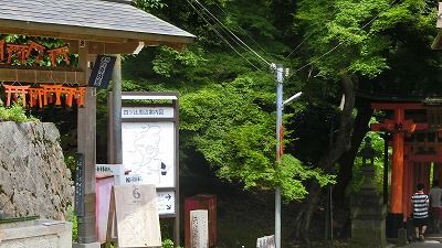 f:id:kabutoyama-tigers:20200624105229j:plain f:id:kabutoyama-tigers:20200624105229j:plain