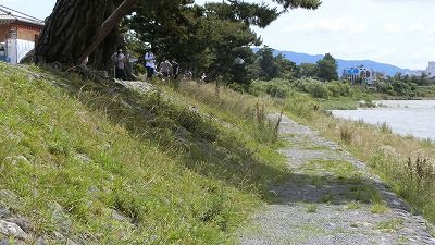 f:id:kabutoyama-tigers:20200624144857j:plain f:id:kabutoyama-tigers:20200624144857j:plain