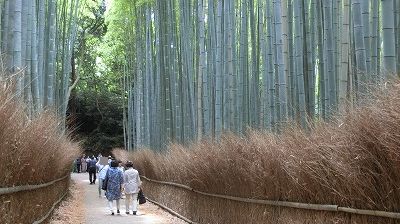 f:id:kabutoyama-tigers:20200624162648j:plain f:id:kabutoyama-tigers:20200624162648j:plain