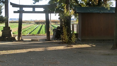 f:id:kabutoyama-tigers:20201118155502j:plain
