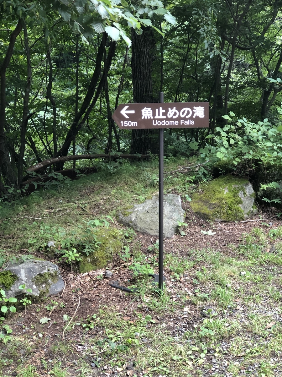 f:id:kac-kac-kac:20190817211445j:plain