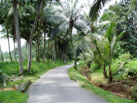 f:id:kaccinster:20060122150019j:image:left:w150