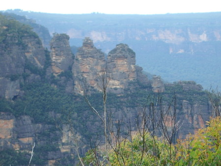 f:id:kaccinster:20060301110121j:image:w150