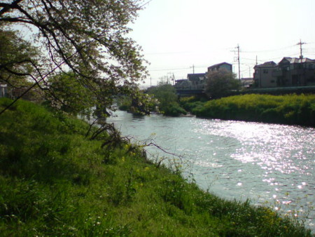 f:id:kaccinster:20090411153016j:image:left:w180