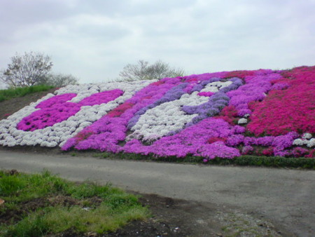 f:id:kaccinster:20090418123741j:image:left:w180